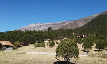 Avanza un 60 por ciento regulaciones de cabañas en Coahuila