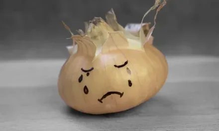 Ahora si la cebolla está haciendo llorar ¡pero de lo caro!