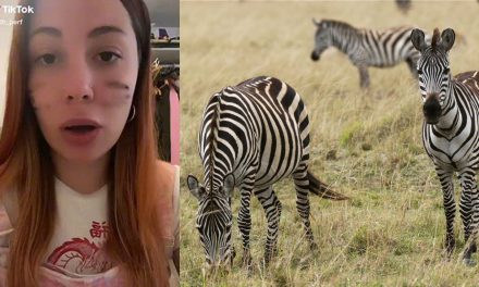Mujer que se identifica como cebra acusa discriminación por no acceder a refugio de animales (video)