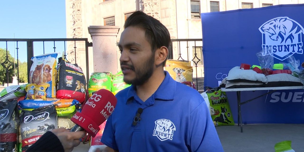 Con éxito, realiza INSUTE croquetón 2022