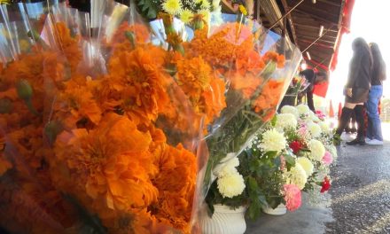 Flor de Cempasúchil mantiene sus precios en Saltillo