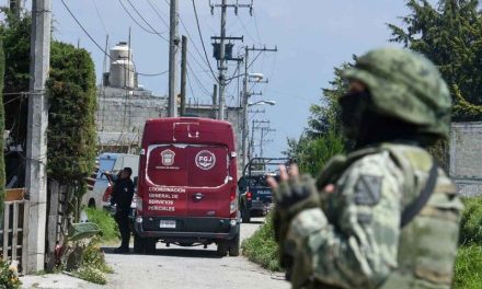 Hallan fosas con cuerpos tras detención de 17 miembros de ‘El Cerrillo’ y ‘La Línea’ en Edomex