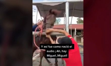Así surgió el audio de ‘¡Ay, Miguel!’  que actualmente la rompe en TikTok