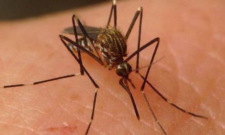 Alerta en Coahuila por la llegada del Virus del Nilo