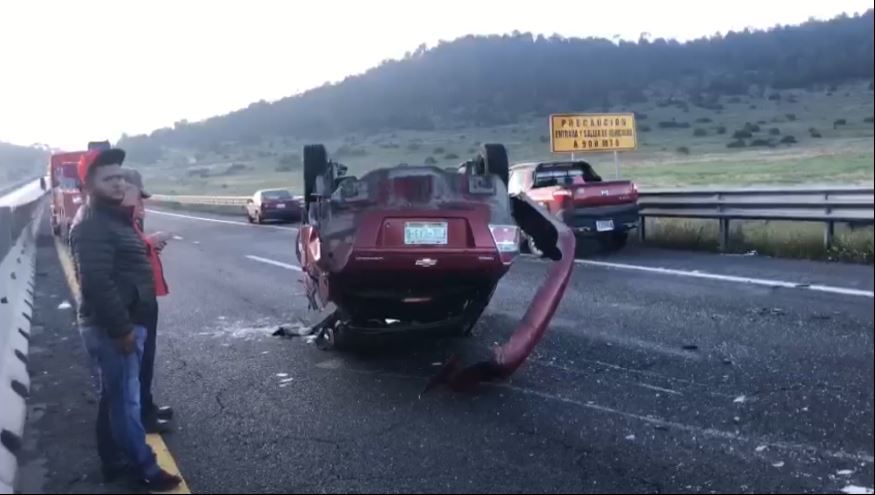 Más de 20 accidentes por osos en Coahuila