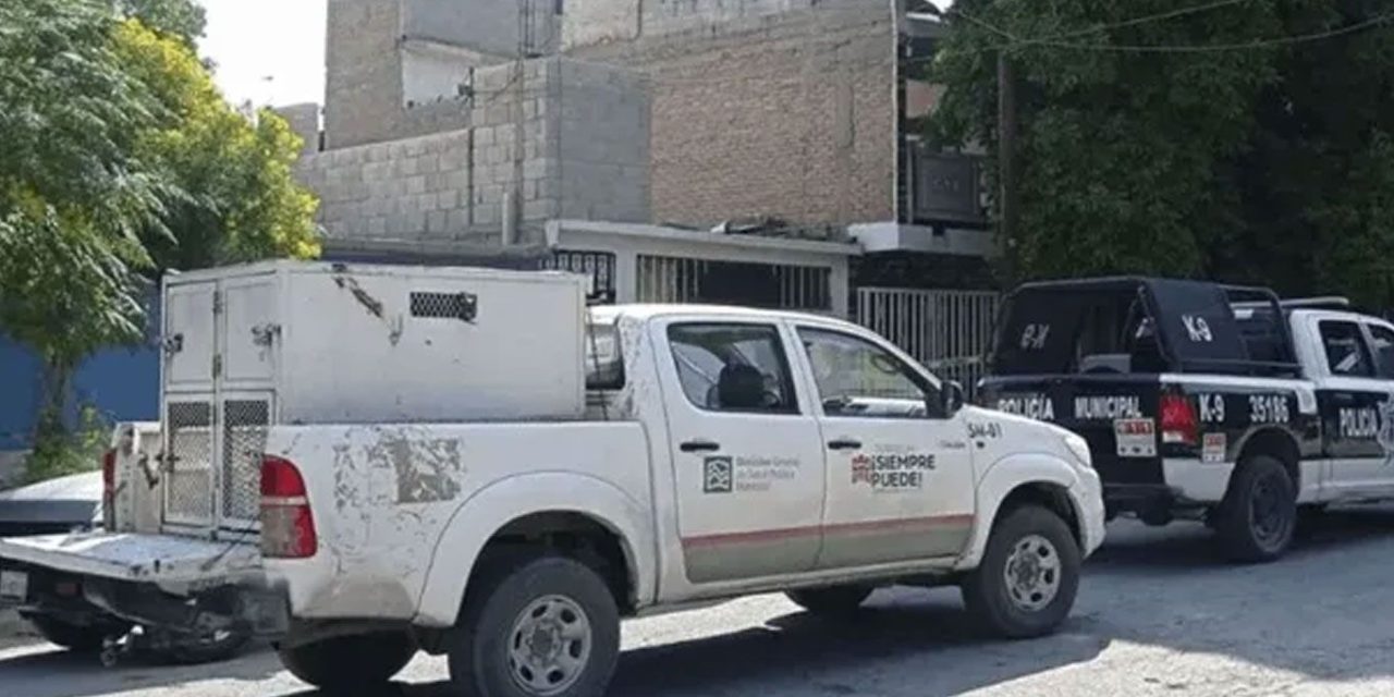 Perros devoran el cadáver de su amo en Torreón