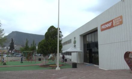 Realiza PRONNIF encuentro informativo sobre adopciones en Coahuila