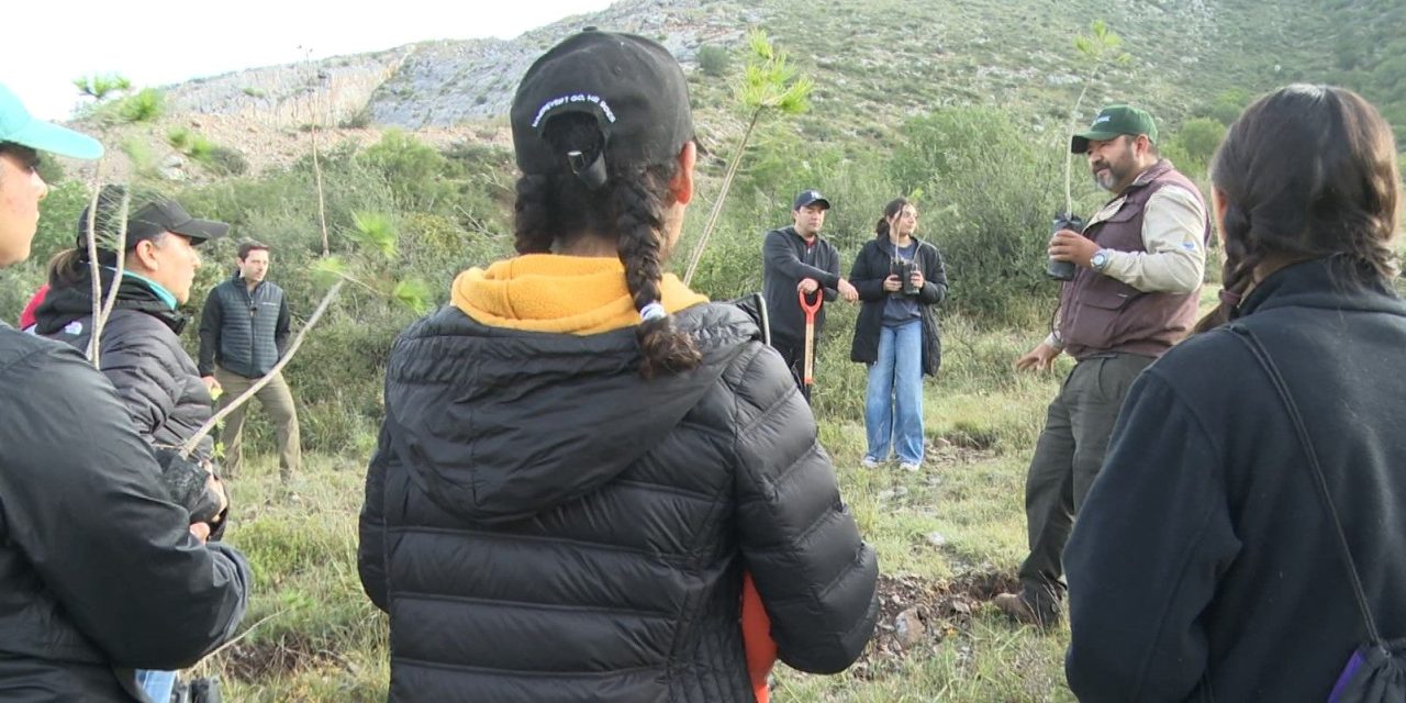 Reforestan Cañón de San Lorenzo