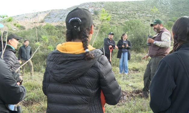 Reforestan Cañón de San Lorenzo