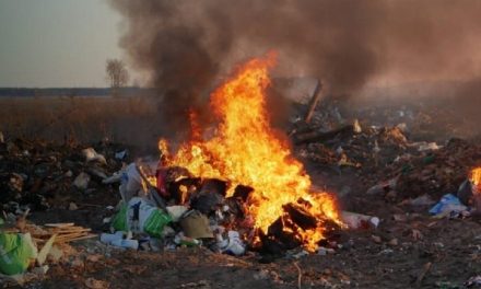 Ecología prevé fuertes multas en Monclova