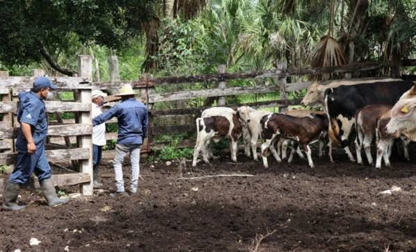 Se preparan en Acuña para recibir el invierno