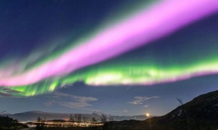 Así lucieron las auroras boreales rosas en el cielo de Noruega