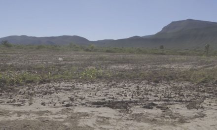 Un año más sin recursos federales para el campo coahuilense
