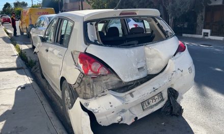 Mujer que manejaba bajo los influjos del alcohol choca contra un árbol y destroza negocio en Saltillo