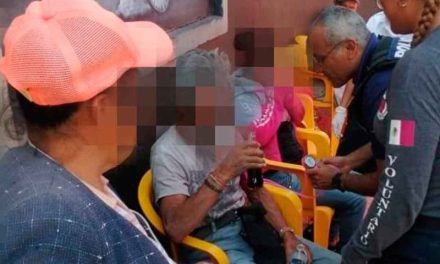 Ataca enjambre de abejas a 12 visitantes de panteón en San Luis Potosí