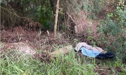 A días de la muerte de Ariadna Fernanda encuentran a otra mujer sin vida en la carretera México-Cuernavaca