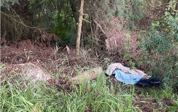 A días de la muerte de Ariadna Fernanda encuentran a otra mujer sin vida en la carretera México-Cuernavaca