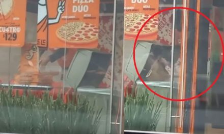 Exhiben en Tik Tok a empleado de Little Caesars sacando cajas de pizza de la basura