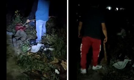 Delincuentes son castigados por pobladores de Hidalgo a cinturonazos (video)