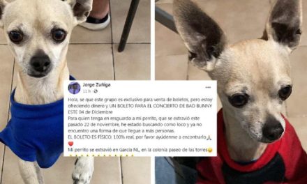 Ofrece boleto para ver a Bad Bunny para recuperar a su perrito en García, Nuevo León