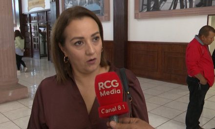 Podría ir el Partido Verde solo en Coahuila