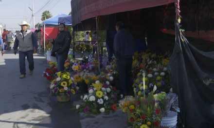 Mejoró la venta de flores por el Día de Muertos en Saltillo