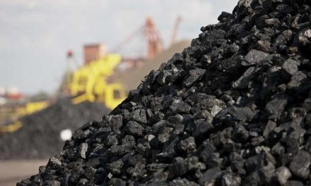 Carboneros en riesgo por restricciones