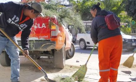 Servicios Primarios continuarán laborando
