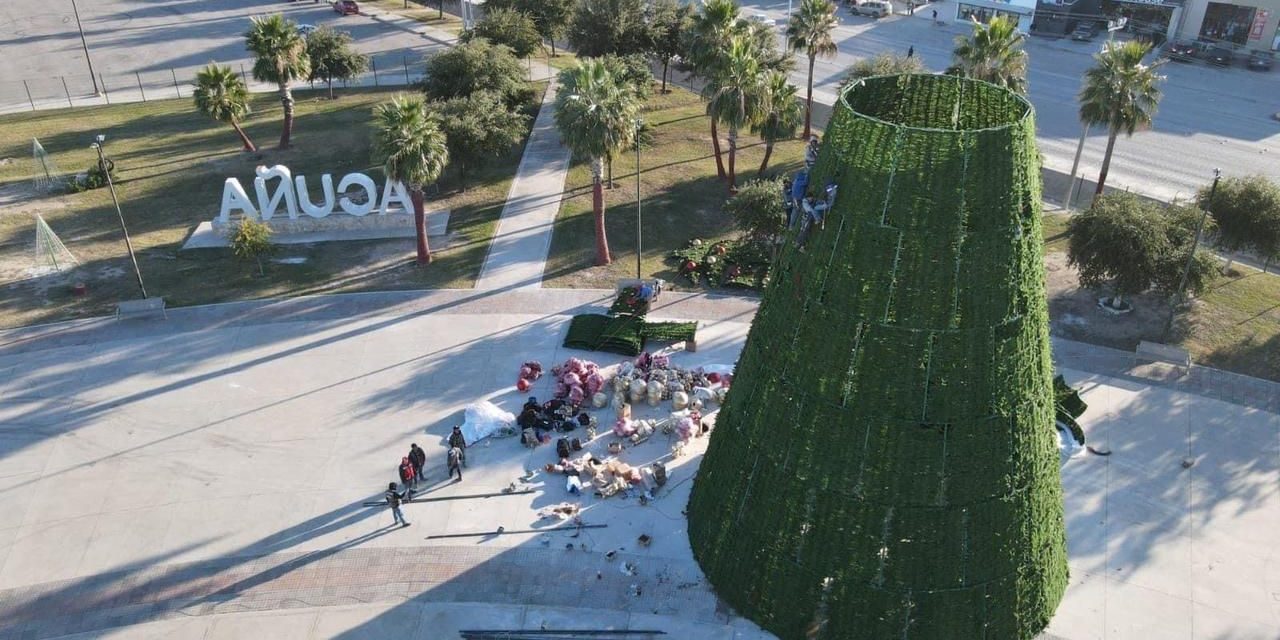 En la Macroplaza de Acuña está todo listo para el pino gigante