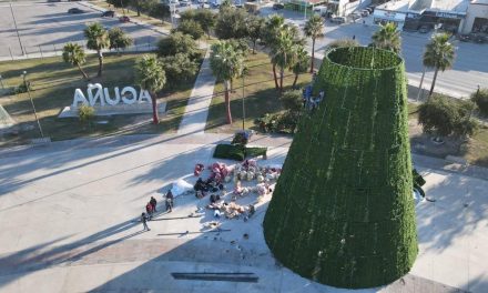 En la Macroplaza de Acuña está todo listo para el pino gigante