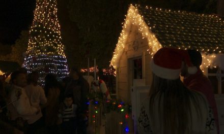 Llega la Navidad a Arteaga; enciende alcalde pino y villa navideña