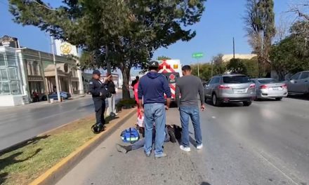 Atropella a un perro y cae en pleno V. Carranza