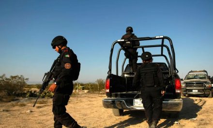 Colima registra el mayor número de asesinatos en toda su historia