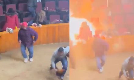 Lanzan granada en palenque de Hidalgo, durante pelea de gallos (video)