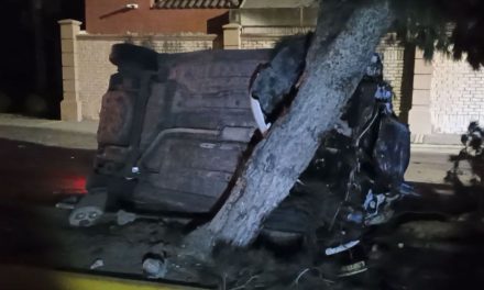 Saltillo: Derriba luminaria por manejar ebrio; dormitó y subió al camellón central del bulevar Moctezuma