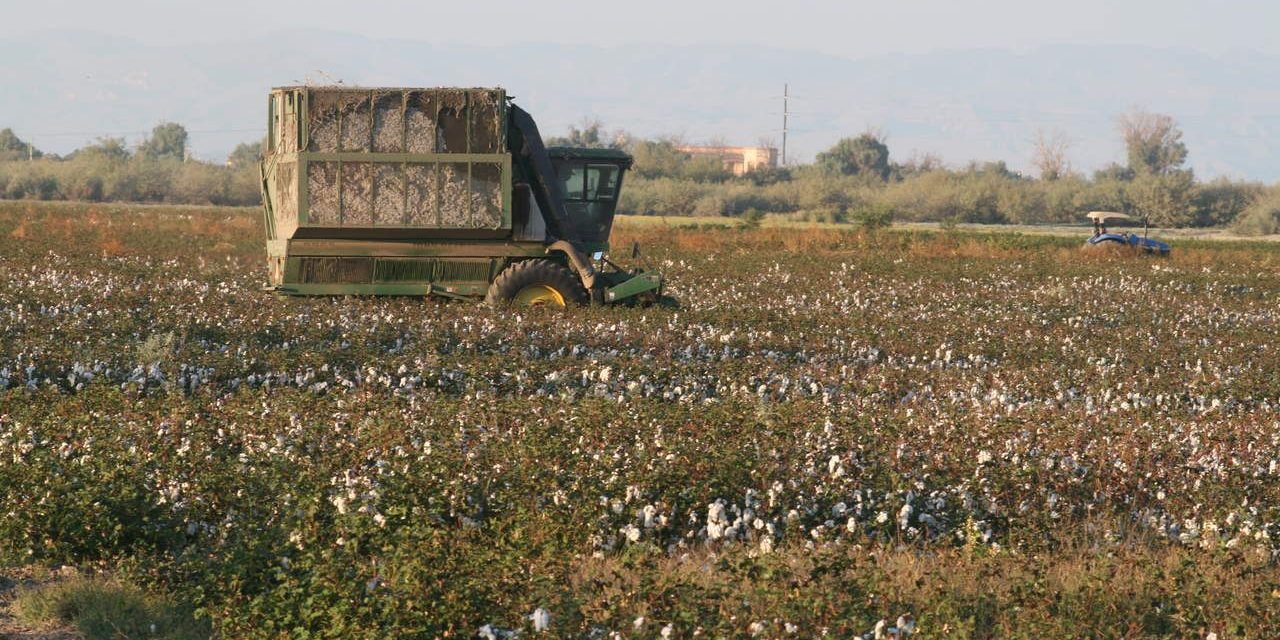 Sigue un panorama desolador para el campo de Coahuila para este 2023