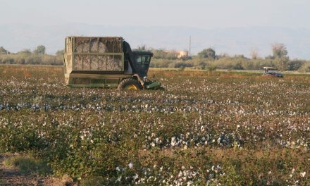 Sigue un panorama desolador para el campo de Coahuila para este 2023
