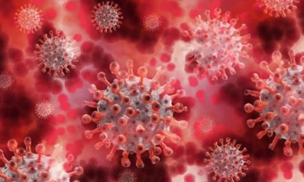 Encuentran un virus zombie que estuvo congelado en la Siberia por más de 48 mil años