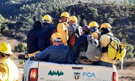 Capacitan a brigadistas de Arteaga; se acerca la temporada de incendios forestales