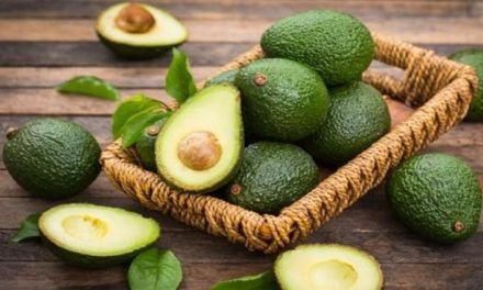 A la baja el precio del aguacate en Saltillo