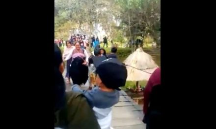 Puente colgante colapsa y varias personas caen en Chiapas (video)