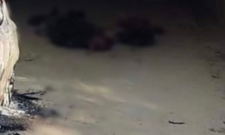 No para el horror: dejan 5 cuerpos desmembrados en un puente de Guerrero