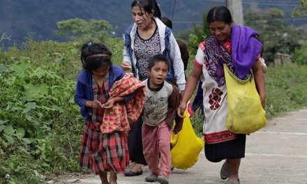 Terror en la sierra de Guerrero, es el estado con más familias desplazadas por el crimen organizado