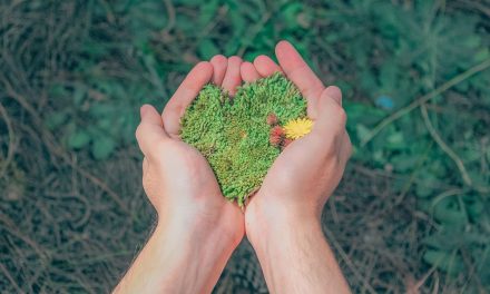 Celebrarán Día de la Educación Ambiental