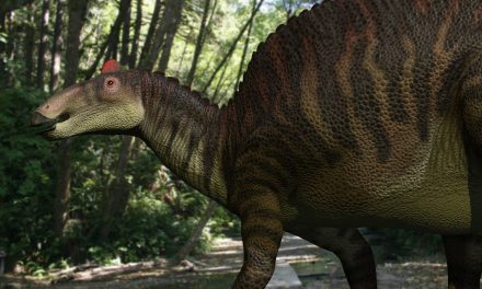 Dinosaurio ‘momificado’ podría reescribir la historia