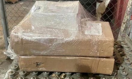 Fuerza Civil de Nuevo León decomisa 7 kilogramos de marihuana que sería enviada a Saltillo