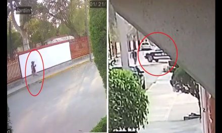 México mágico: Asaltan tienda y huyen a bordo de una patrulla en Hidalgo (video)
