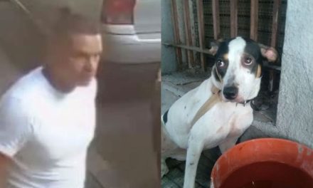 Sujeto saca a pasear a su perrita y la amarra para abandonarla, pasó todo un día en el lugar