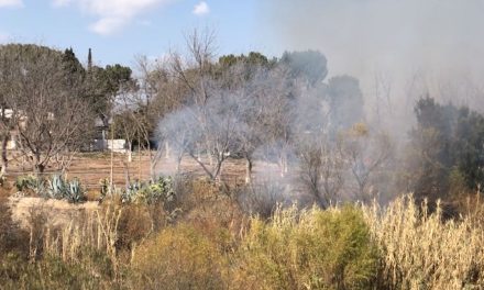 Saltillo: Se quemó arroyo el Pituchín