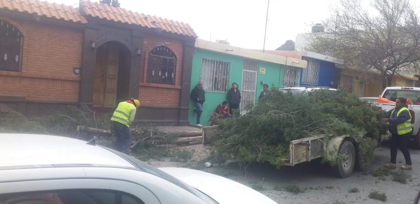 Causan estragos rachas de fuertes vientos en Saltillo; llegan a los 70 km por hora